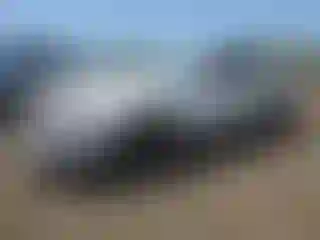 Vehicle Image- 2012 Ford Mustang