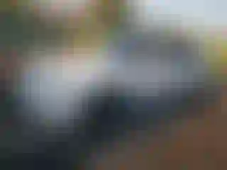 Vehicle Image- 2014 Ford Mustang