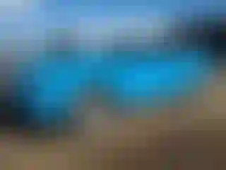 Vehicle Image- 2010 Ford Mustang