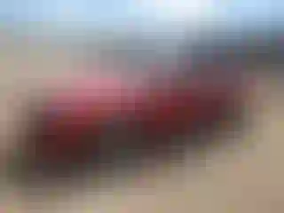 Vehicle Image- 2007 Ford Mustang