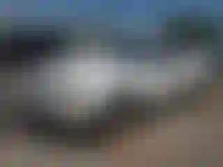 Vehicle Image- 2006 Ford Mustang