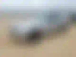 Vehicle Image- 2007 Ford Mustang