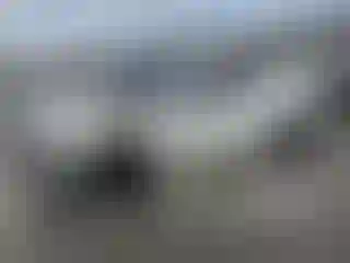 Vehicle Image- 2007 Ford Mustang