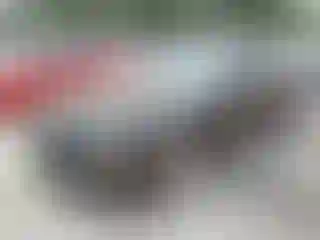 Vehicle Image- 2007 Ford Mustang