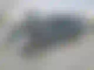 Vehicle Image- 2006 Ford Mustang