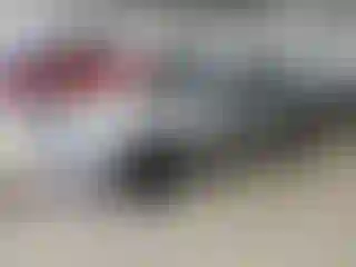 Vehicle Image- 2006 Ford Mustang