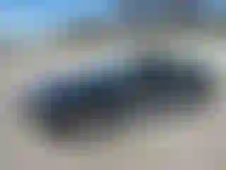 Vehicle Image- 2007 Ford Mustang