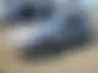 Vehicle Image- 2006 Ford Mustang