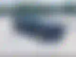 Vehicle Image- 2006 Ford Mustang