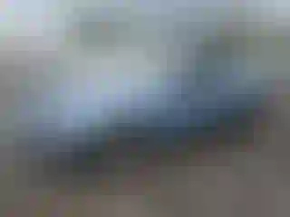 Vehicle Image- 2005 Ford Mustang