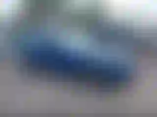 Vehicle Image- 2007 Ford Mustang