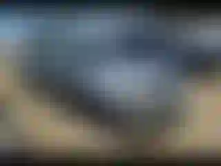 Vehicle Image- 2007 Ford Mustang