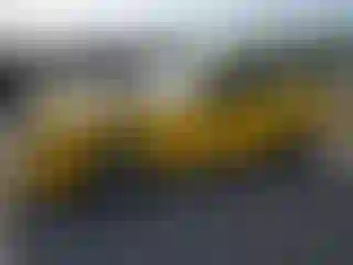 Vehicle Image- 2006 Ford Mustang