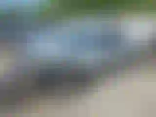 Vehicle Image- 2006 Ford Mustang