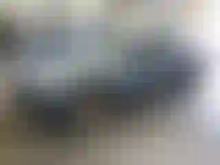 Vehicle Image- 2006 Ford Mustang