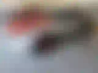 Vehicle Image- 2005 Ford Mustang