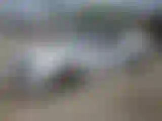 Vehicle Image- 2005 Ford Mustang