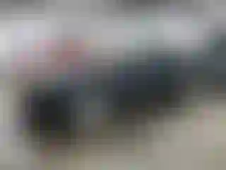 Vehicle Image- 2006 Ford Mustang