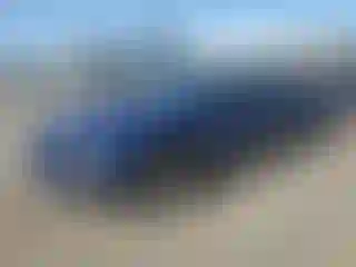 Vehicle Image- 2006 Ford Mustang