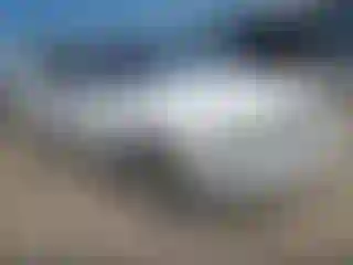 Vehicle Image- 2007 Ford Mustang