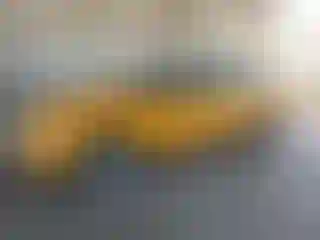 Vehicle Image- 2007 Ford Mustang