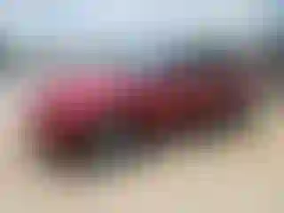 Vehicle Image- 2005 Ford Mustang
