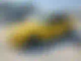 Vehicle Image- 2006 Ford Mustang
