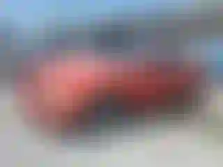 Vehicle Image- 2007 Ford Mustang