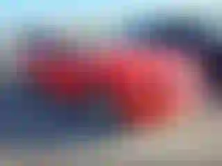 Vehicle Image- 2007 Ford Mustang