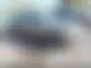 Vehicle Image- 2005 Ford Mustang