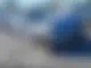 Vehicle Image- 2006 Ford Mustang