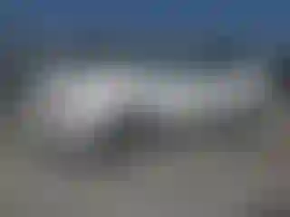Vehicle Image- 2007 Ford Mustang