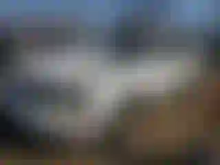 Vehicle Image- 2007 Ford Mustang