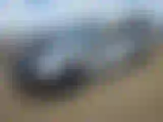 Vehicle Image- 2005 Ford Mustang