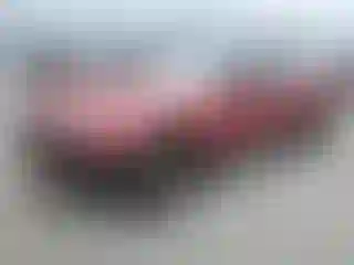 Vehicle Image- 2005 Ford Mustang