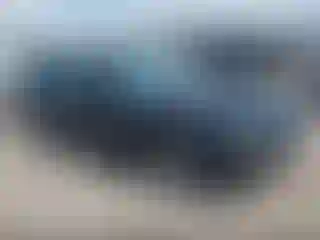 Vehicle Image- 2009 Ford Mustang