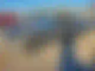 Vehicle Image- 2007 Ford Mustang