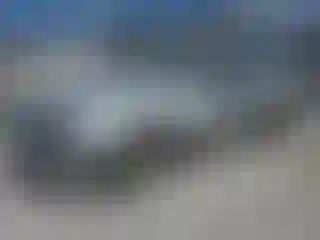 Vehicle Image- 2009 Ford Mustang