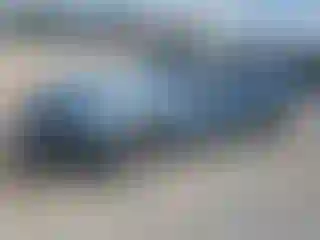 Vehicle Image- 2007 Ford Mustang