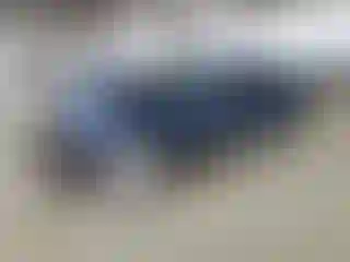 Vehicle Image- 2008 Ford Mustang