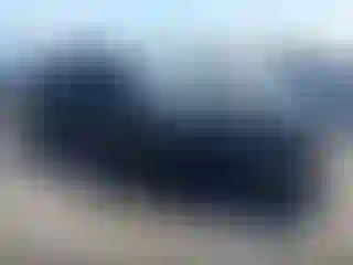 Vehicle Image- 2008 Ford Mustang