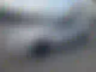 Vehicle Image- 2008 Ford Mustang