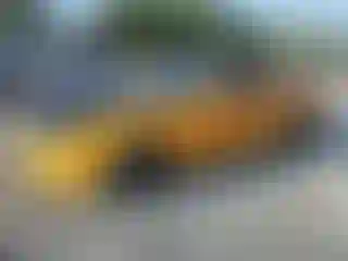 Vehicle Image- 2008 Ford Mustang