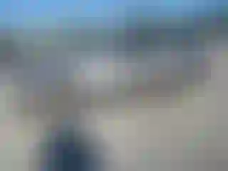 Vehicle Image- 2008 Ford Mustang