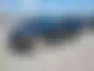 Vehicle Image- 2008 Ford Mustang