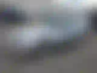 Vehicle Image- 2008 Ford Mustang