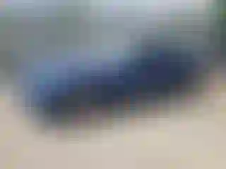 Vehicle Image- 2009 Ford Mustang