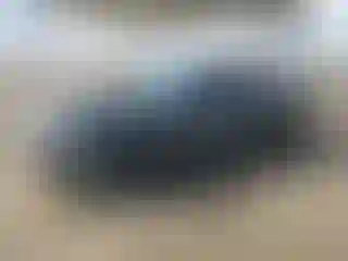 Vehicle Image- 2007 Ford Mustang