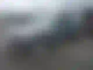 Vehicle Image- 2006 Ford Mustang