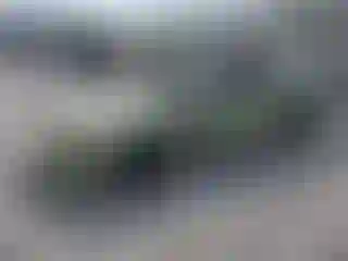 Vehicle Image- 2006 Ford Mustang